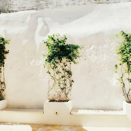 Gh Dimora Sant'anna 4* Carovigno